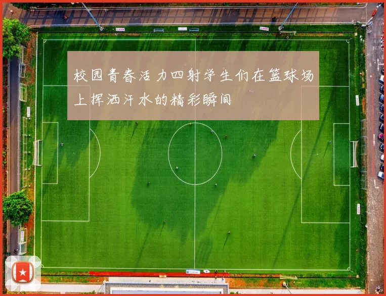 校园青春活力四射学生们在篮球场上挥洒汗水的精彩瞬间