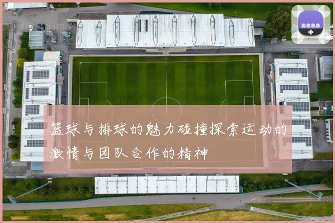 篮球与排球的魅力碰撞探索运动的激情与团队合作的精神