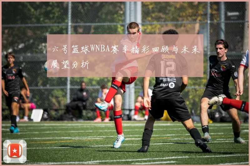六号篮球WNBA赛季精彩回顾与未来展望分析