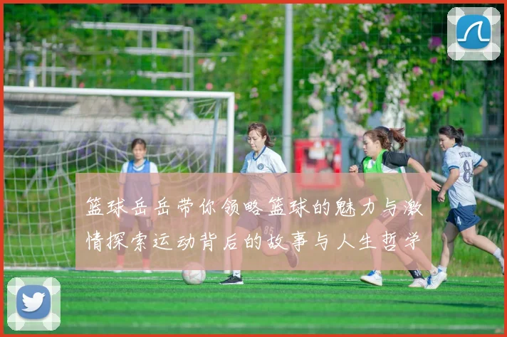 篮球岳岳带你领略篮球的魅力与激情探索运动背后的故事与人生哲学