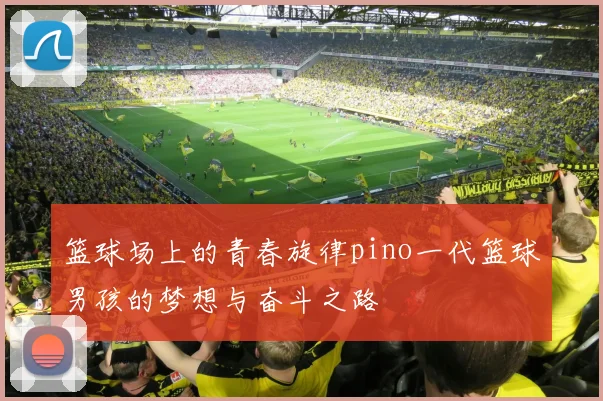 篮球场上的青春旋律pino一代篮球男孩的梦想与奋斗之路